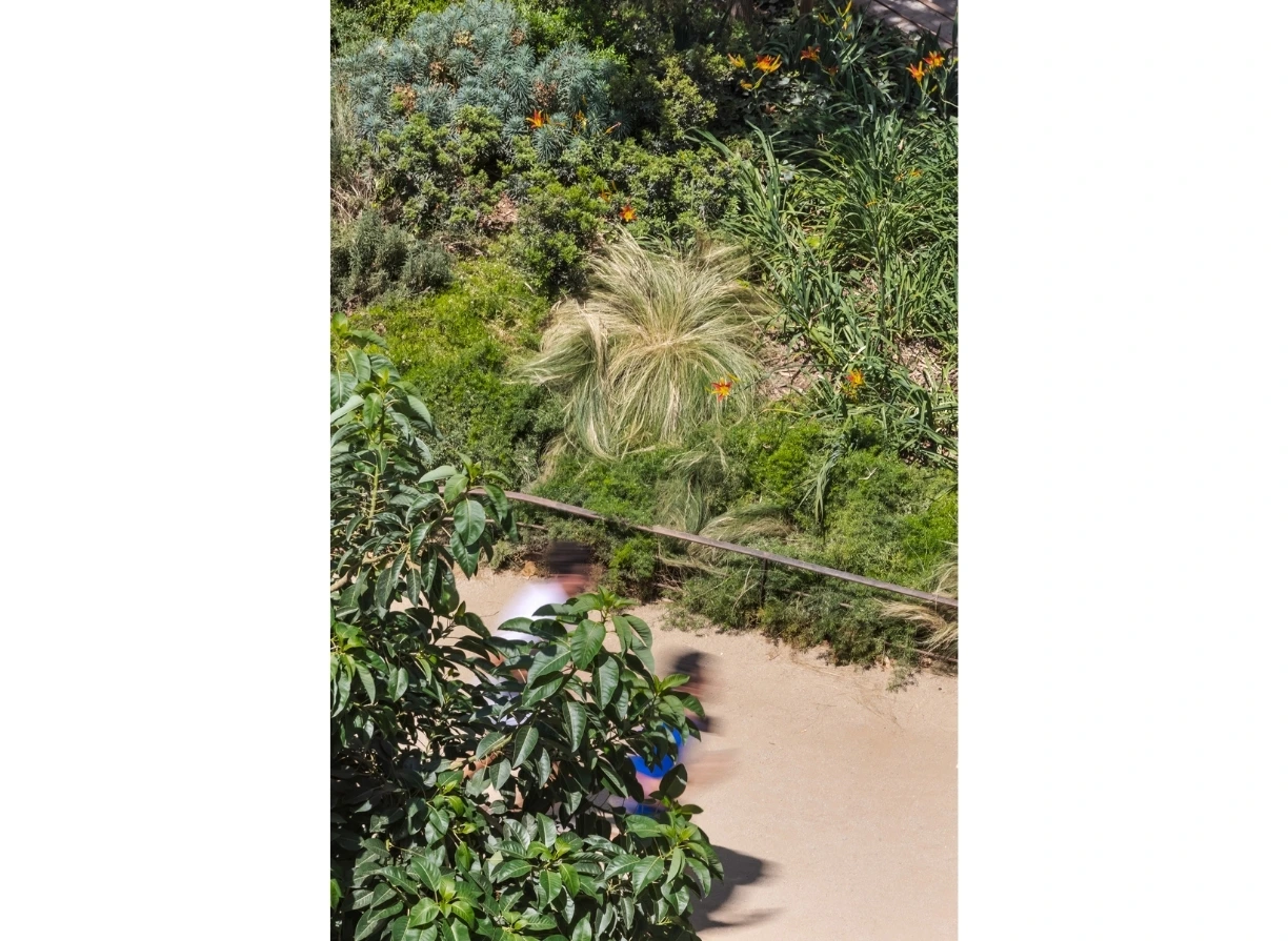 Jardí Consell de Cent - Rocafort, Barcelona, 08014 estudi d’arquitectura